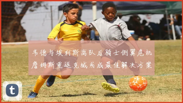 韦德与埃利斯离队后骑士侧翼危机詹姆斯重返克城或成最佳解决方案