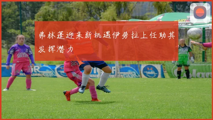 弗林蓬迎来新机遇伊劳拉上任助其发挥潜力